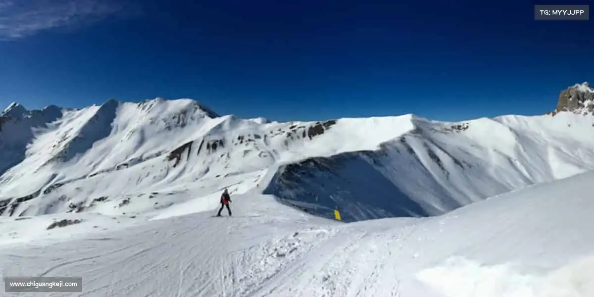 我们的品牌价值